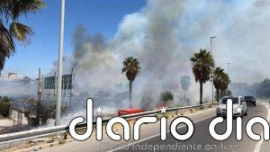 Declarado un incendio en el paraje Río Padrón en Estepona (Málaga) que provoca un corte de carril en la A-7