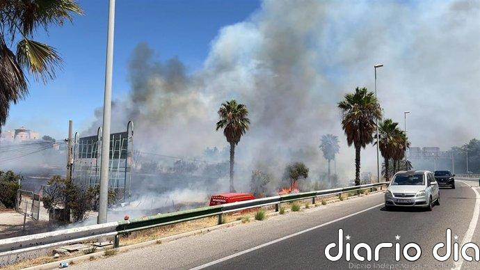 Declarado un incendio en el paraje Río Padrón en Estepona (Málaga) que provoca un corte de carril en la A-7