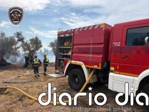 Declarado un incendio forestal cerca de la carretera de Manacor hacia Sant Llorenç