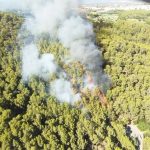 Declarado un incendio forestal en el Puig de Son Muntaner, cerca de Palma