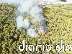 Declarado un incendio forestal en el Puig de Son Muntaner, cerca de Palma