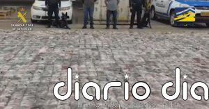 Desarticulada una organización criminal internacional dedicada a la introducción de grandes cantidades de cocaína a través de varios puertos españoles