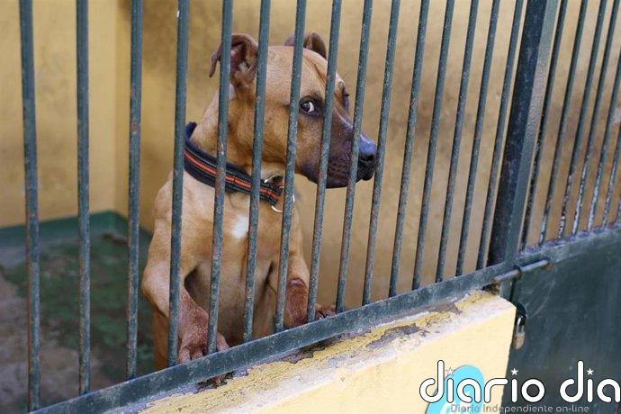 Desconvocan la huelga en Son Reus entre denuncias de esquirolaje y anuncian una ofensiva legal