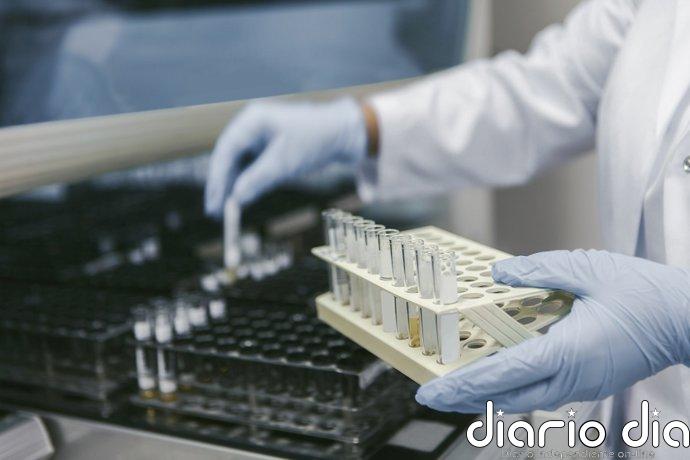 Descubren cómo una proteína ayuda a evitar que las células inmunitarias se activen en exceso
