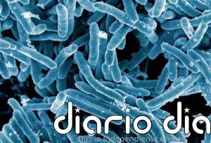 Descubren que un gen ya conocido de la tuberculosis se activa bajo estrés