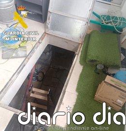 Desmantelada una plantación de marihuana en Borriol (Castellón) que descubren los dueños de una vivienda al comprarla