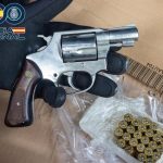 Detenidas dos personas por regentar tres inmuebles donde cultivaban y vendían marihuana en Molina y Archena