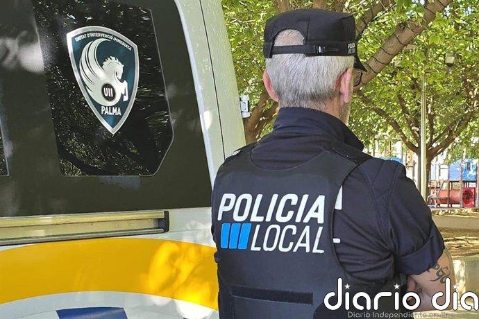 Detenido en Palma por robar en el interior de varios vehículos en la zona de la plaza del Progrés