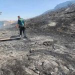 Detenido por originar un incendio forestal cuando usaba una radial en Monteagudo de las Vicarías (Soria)