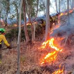 Dieciocho medios aéreos y 150 efectivos por tierra trabajan en el incendio de Niebla (Huelva) con 23 desalojados