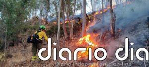 Dieciocho medios aéreos y 150 efectivos por tierra trabajan en el incendio de Niebla (Huelva) con 23 desalojados