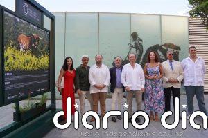 Diputación (Málaga) impulsa la muestra 'Toro Bravo, el guardián de la biodiversidad' para valorar su papel en la Dehesa