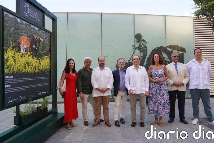 Diputación (Málaga) impulsa la muestra 'Toro Bravo, el guardián de la biodiversidad' para valorar su papel en la Dehesa