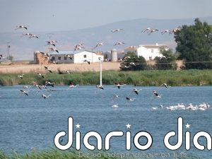 Ecologistas presenta un Recurso contra la autorización de fumigaciones en el ZEPA 'Área esteparia del este de Albacete'