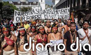 Ecuador castiga a los protectores del parque nacional Yasuní