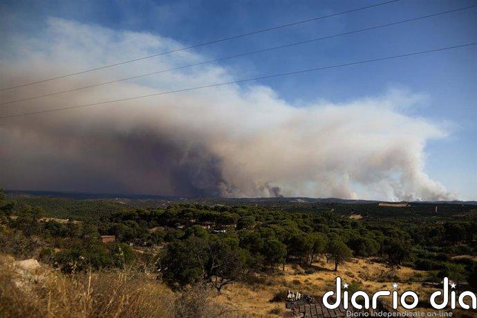 El avance "importante" en el control del norte del incendio de Niebla (Huelva) abre "una esperanza" este jueves