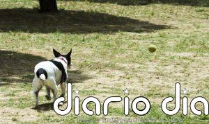El Ayuntamiento cierra un parque canino e infantil en Sevilla Este tras detectar alimentos con elementos peligrosos