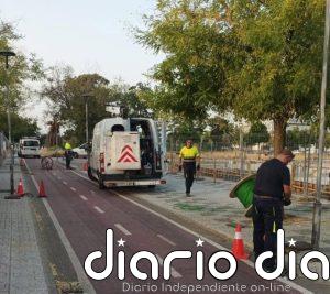 El Ayuntamiento de Andújar (Jaén) denuncia el robo de cableado eléctrico que ha provocado cortes de luz