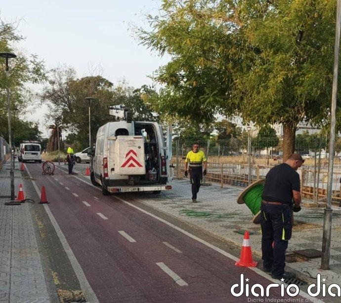 El Ayuntamiento de Andújar (Jaén) denuncia el robo de cableado eléctrico que ha provocado cortes de luz