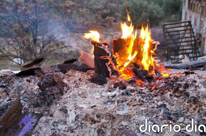 El Ayuntamiento de Jaén señala que "cumple la normativa" con la retirada de féretros para su quema "controlada"