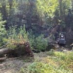 El Ayuntamiento de Segovia limpia restos de arbolado en el cauce urbano del río Eresma