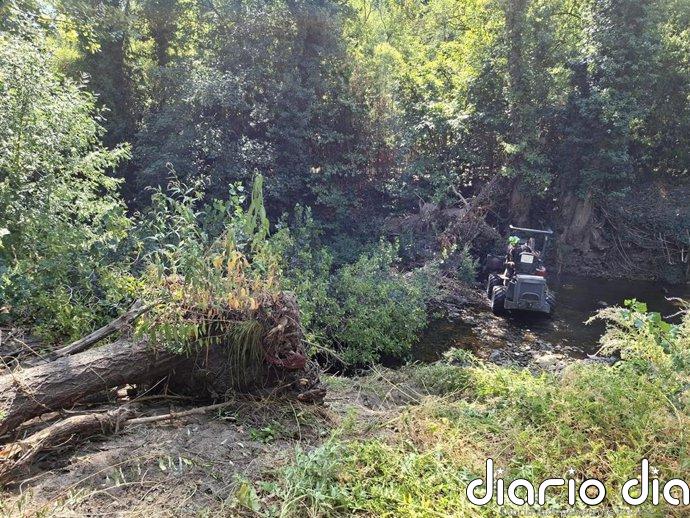 El Ayuntamiento de Segovia limpia restos de arbolado en el cauce urbano del río Eresma