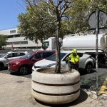 El Ayuntamiento de Sevilla destina 75.000 litros de agua semanales al riego de árboles en el distrito Nervión