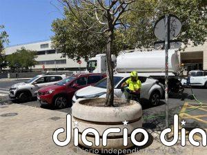 El Ayuntamiento de Sevilla destina 75.000 litros de agua semanales al riego de árboles en el distrito Nervión