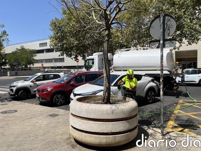El Ayuntamiento de Sevilla destina 75.000 litros de agua semanales al riego de árboles en el distrito Nervión