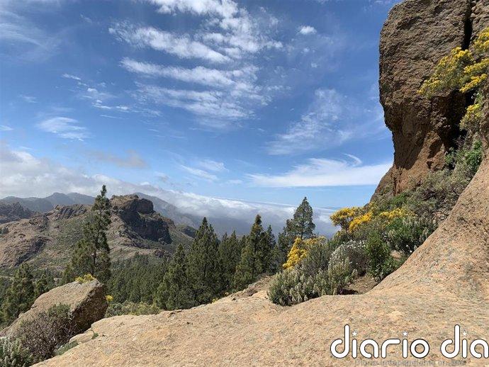 El Cabildo de Gran Canaria mantiene las restricciones al uso del fuego ante el riesgo de incendios en medianías y cumbre