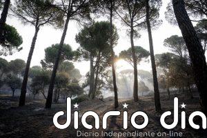 El chef José Andrés anima a visitar los pueblos afectados por el incendio de la Sierra Oeste de Madrid