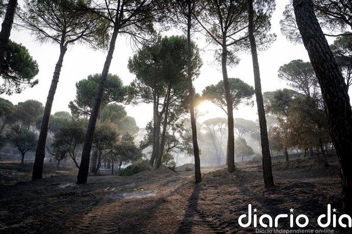 El chef José Andrés anima a visitar los pueblos afectados por el incendio de la Sierra Oeste de Madrid