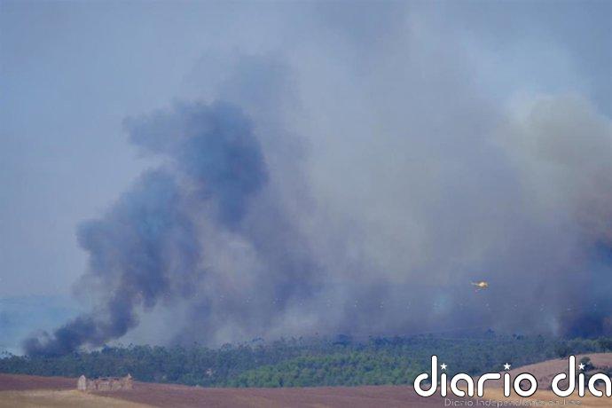 El dispositivo del incendio de Niebla (Huelva) supera los 600 efectivos: "Cualquier escenario es imprevisible"