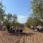 El eclipse deja 70 atenciones en Oftalmología en las últimas horas en la Comunitat Valenciana