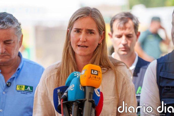 El Gobierno cubrirá el 50% del coste de restauración de la superficie afectada por el incendio de Niebla (Huelva)