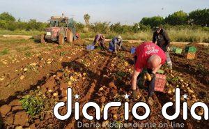 El Gobierno de España abona casi 113 millones a más de 87.600 agricultores en ayudas para la compra de fertilizantes