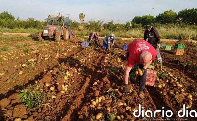 El Gobierno de España abona casi 113 millones a más de 87.600 agricultores en ayudas para la compra de fertilizantes
