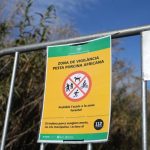 El Govern no registra "por primera vez" positivos de PPA en la zona de alto riesgo
