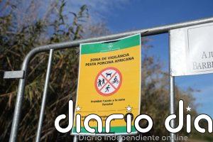 El Govern no registra "por primera vez" positivos de PPA en la zona de alto riesgo