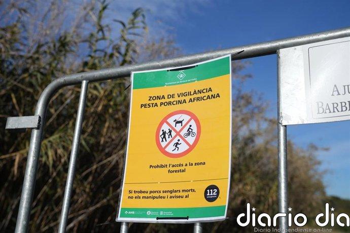 El Govern no registra "por primera vez" positivos de PPA en la zona de alto riesgo