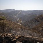 El incendio de Niebla (Huelva) con 33.000 hectáreas afectadas es el segundo mayor de Andalucía tras el de Riotinto