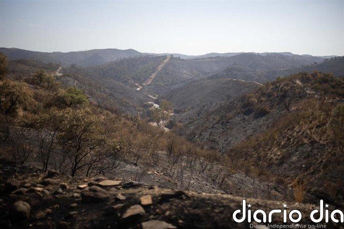 El incendio de Niebla (Huelva) con 33.000 hectáreas afectadas es el segundo mayor de Andalucía tras el de Riotinto
