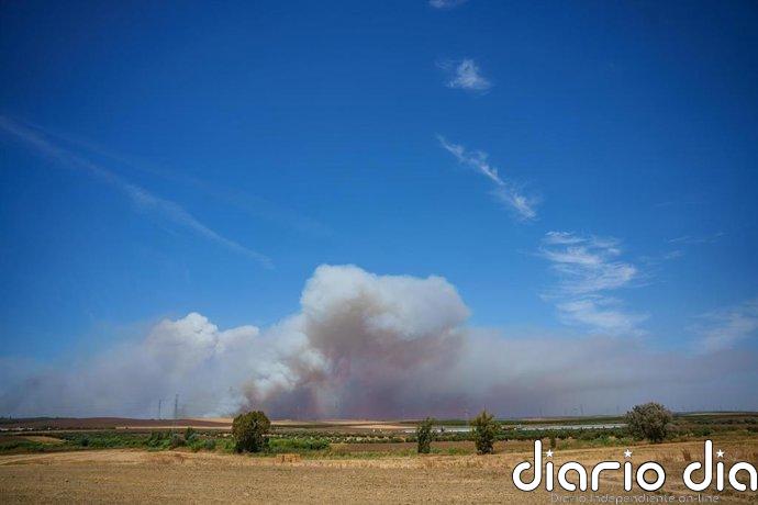 El incendio de Niebla (Huelva) recorre ya 20.000 hectáreas y se encuentra "fuera de capacidad de extinción"
