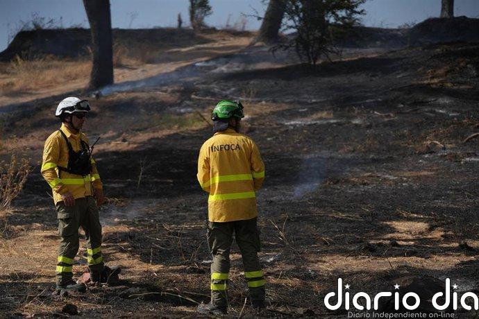 El incendio de Niebla (Huelva) se inició a pie de carretera y el alcalde cree que se originó "por una negligencia"