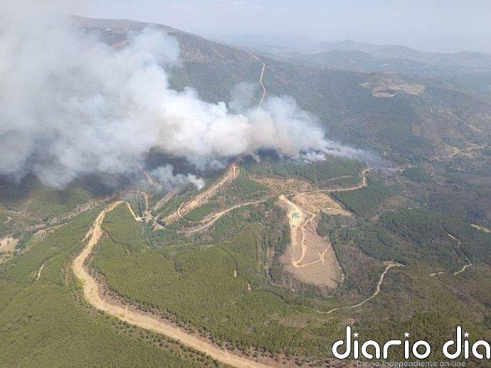 El incendio de Pinofranqueado, que ha arrasado ya 2.200 hectáreas, es "al 99%" intencionado
