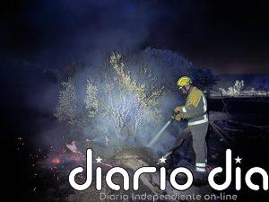 El incendio en Aldea del Fresno presenta una "evolución positiva" durante la noche
