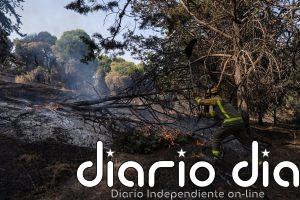 El incendio en Aldea del Fresno se encuentra estabilizado con un balance de 330 hectáreas afectadas