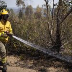 El Infoca da por controlado el incendio forestal de Luque (Córdoba)