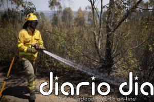 El Infoca da por controlado el incendio forestal de Luque (Córdoba)