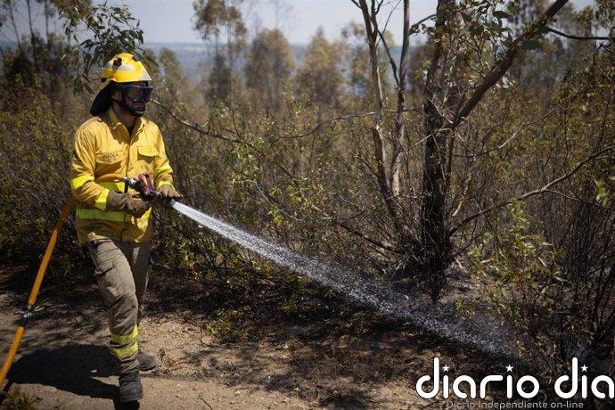 El Infoca da por controlado el incendio forestal de Luque (Córdoba)
